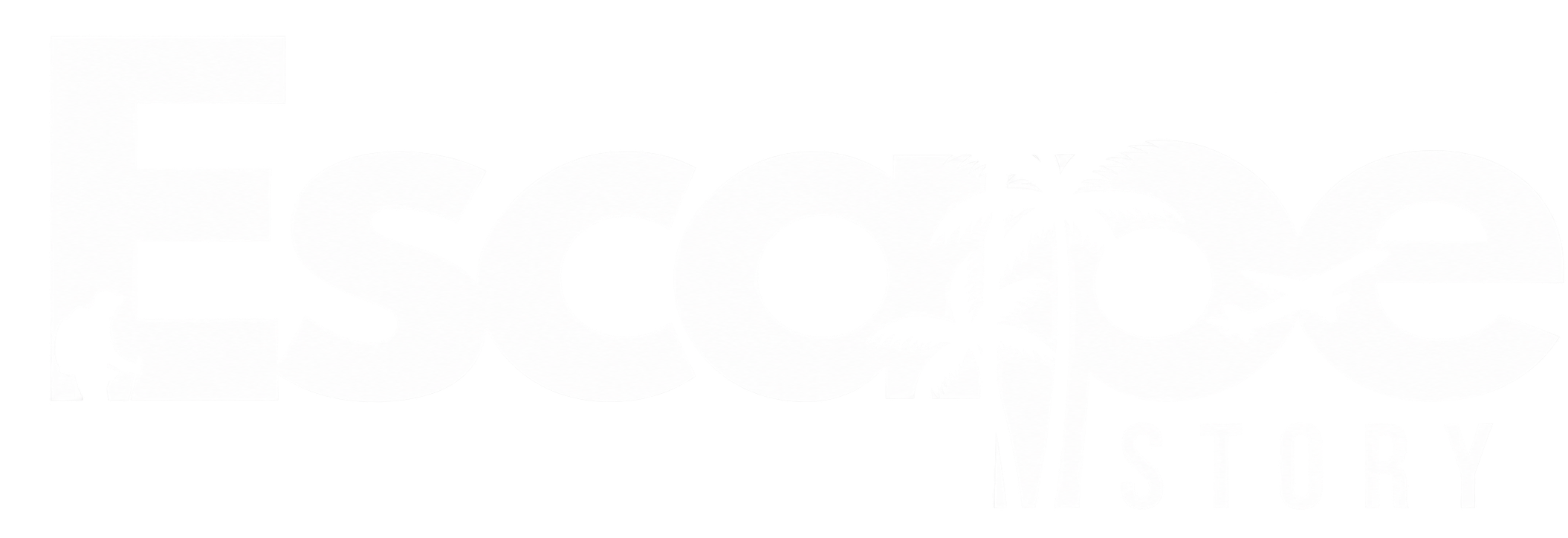 Escape Story